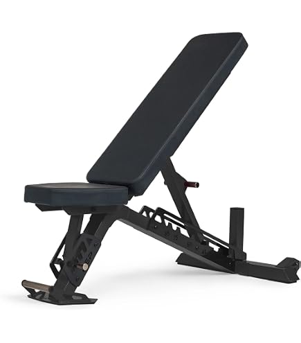 Amazon.co.jp: REP Fitness（レップフィットネス）ウェイトプレート